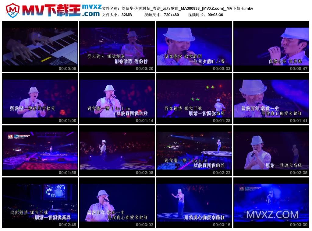 刘德华-为你钟情_粤语_流行歌曲_MA300933